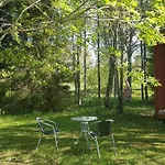 Nuttulinna *
