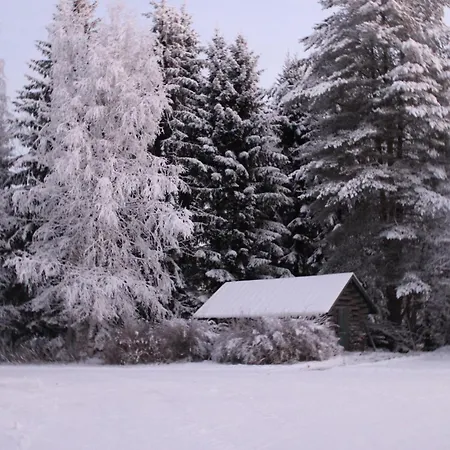 Nuttulinna מוטל Nuttupera