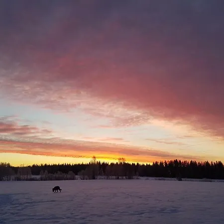 Nuttulinna * Nuttupera