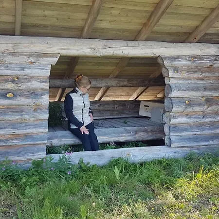 Nuttulinna Motel *