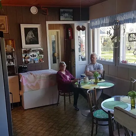 Nuttulinna *