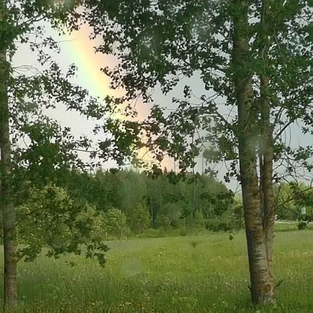Nuttulinna Motel *