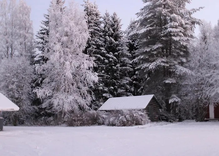 Nuttulinna Motelli Nuttupera